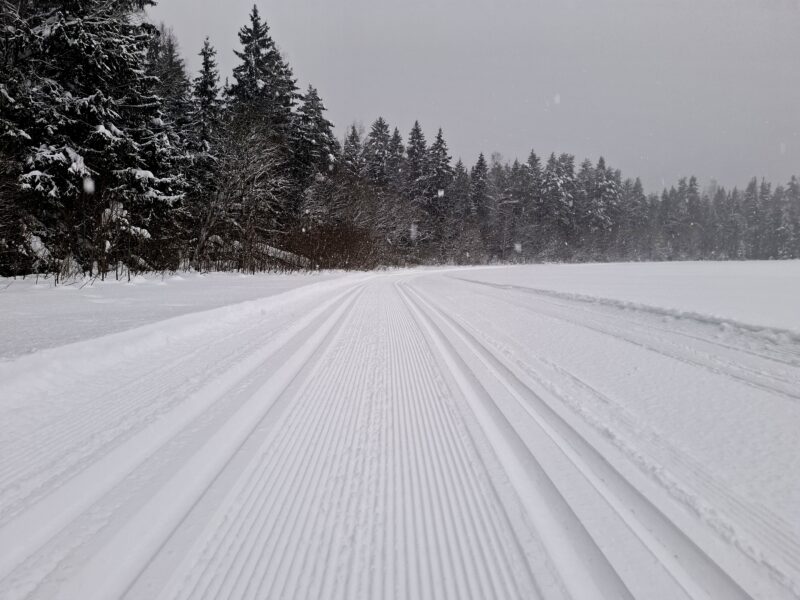 Трасса лыжная .Максима Парк, состояние на 14 февраля 2026 по отзыву, фото 8. 